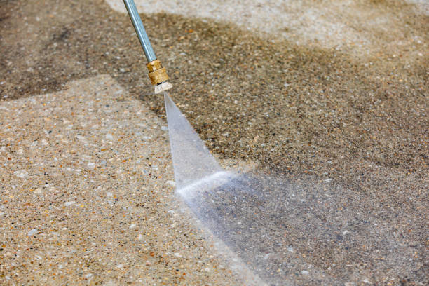 Best Boat and Dock Cleaning  in Savanna, IL