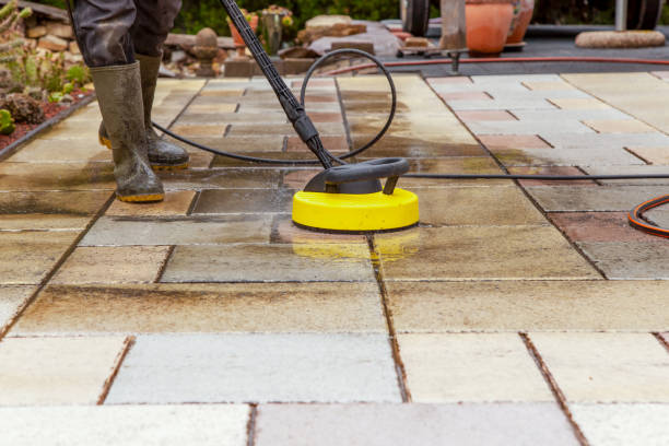 Best Animal Enclosure Cleaning  in Savanna, IL